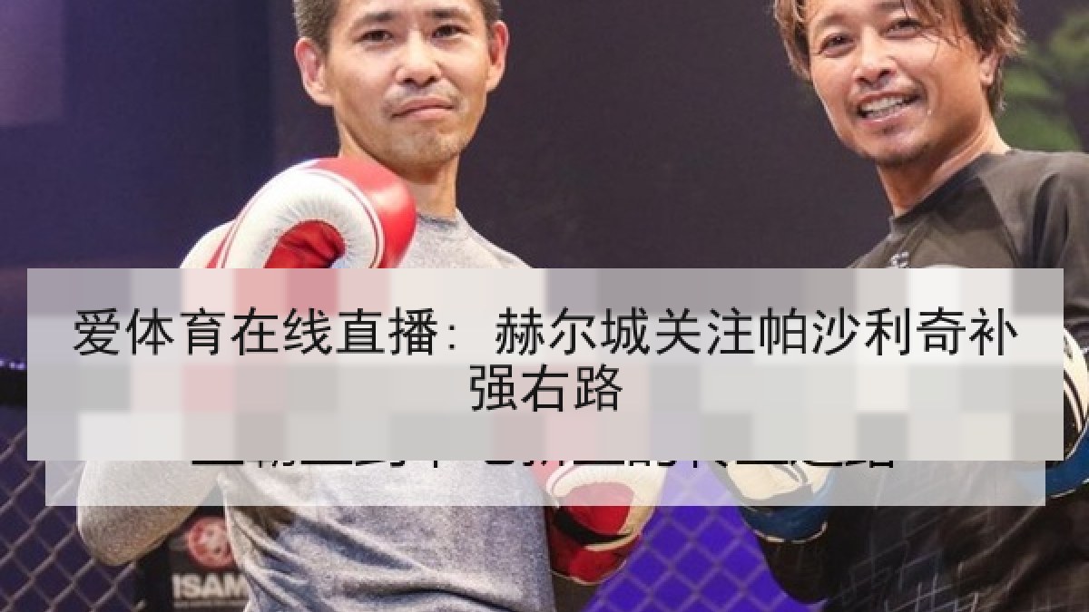 爱体育在线直播: 赫尔城关注帕沙利奇补强右路