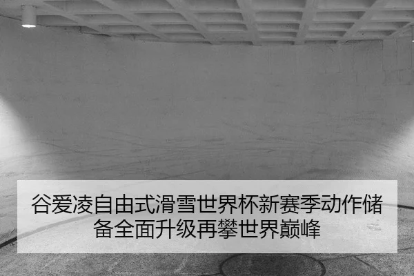 gu-ai-ling-zi-you-shi-hua-xue-shi-jie-bei-xin-sai-ji-dong-zuo-chu-bei-quan-mian-sheng-ji-zai-pan-shi-jie-dian-feng-3-603.jpg